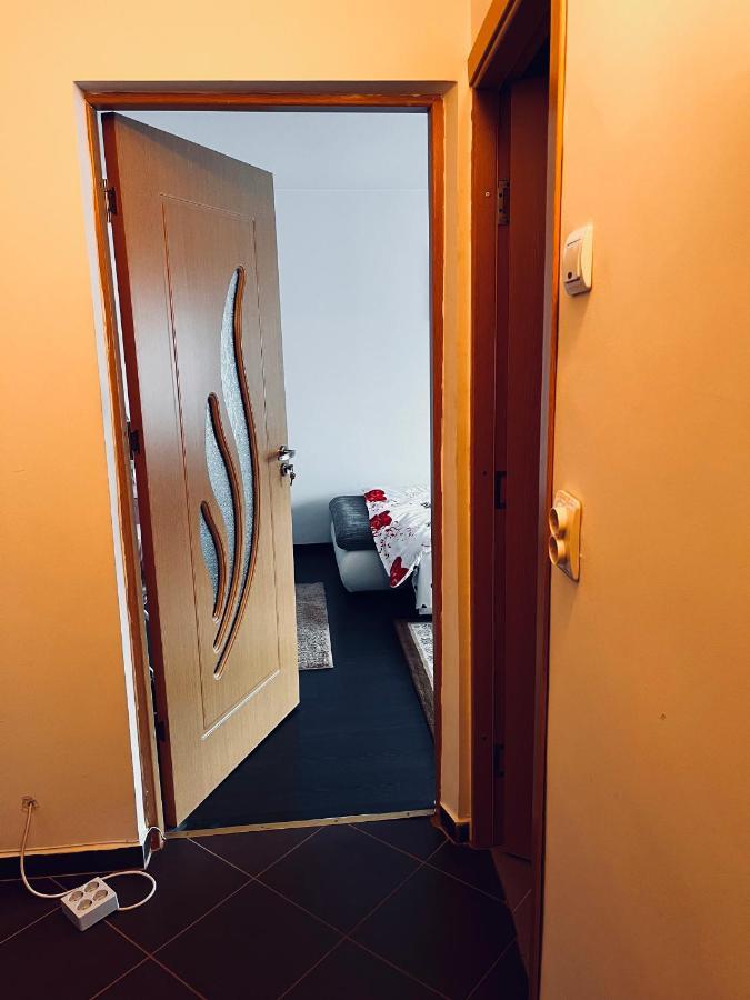 Lovely 1 Bedroom Apartment Câmpulung Moldovenesc Extérieur photo